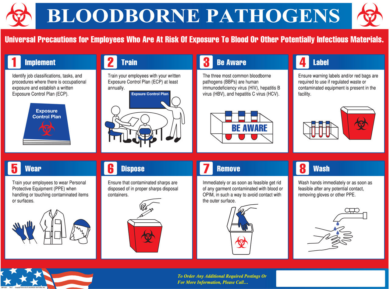 Workplace bloodborne pathogens quiz answers