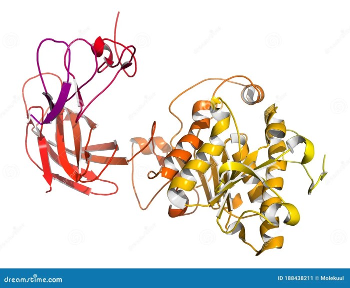 Lipase structure chemical cas lookchem basic information