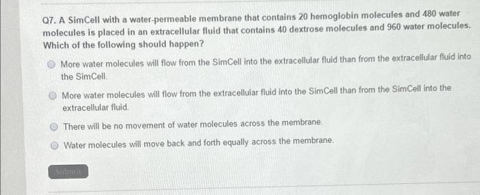 A simcell with a water-permeable membrane that contains 20 hemoglobin