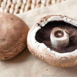 Portobello mushroom chicken texas roadhouse