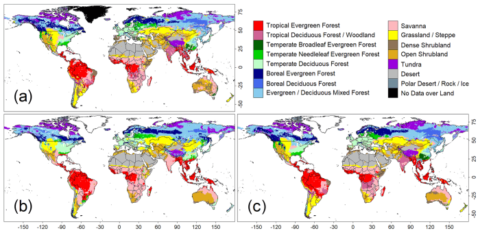 Learning through art map of terrestrial biomes