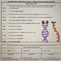 Worksheet on dna rna and protein synthesis answer key pdf