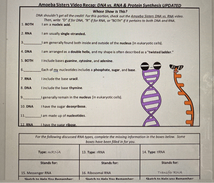 Worksheet on dna rna and protein synthesis answer key pdf