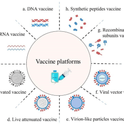 What type of vaccine involves host synthesis of viral antigens